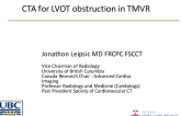 Evolving CT Imaging Concepts on Measuring the Neo-LVOT After TMVR