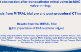 Validation of Neo-LVOT Prediction Modeling for Left Ventricular Outflow Tract Obstruction After Transcatheter Mitral Valve-in-MAC and Valve-in-Ring: Analysis From MITRAL Trial Pre- and Post-Procedural CT Insights
