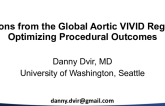 Lessons From the Global Aortic VIVID Registry: Optimizing Procedural Outcomes