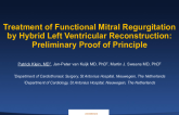 Treatment of Functional Mitral Regurgitation by Hybrid Left Ventricular Reconstruction: Preliminary Proof of Principle