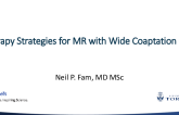 Therapy Strategies for MR With Wide Coaptation Gap