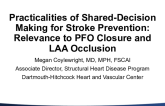Practicalities of Shared Decision-Making for Stroke Prevention: Relevance to LAA Occlusion and PFO Closure