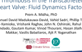 Thrombosis in the Transcatheter Heart Valve: Fluid Dynamics Factors