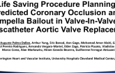 Life-Saving Procedure Planning: Predicted Coronary Occlusion and Impella Bailout in Valve-in-Valve Transcatheter Aortic Valve Replacement