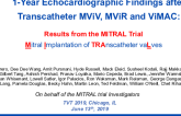 1-Year Echocardiographic Findings After Transcatheter Mitral Valve-in-Valve, Valve-in-Ring and Valve-in-Mitral Annular Calcification: Results From the MITRAL Trial