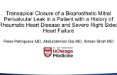 Transapical Closure of a Bioprosthetic Mitral Perivalvular Leak in a Patient With a History of Rheumatic Heart Disease and Severe Right-Sided Heart Failure