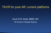 Treating AR With Current Transcatheter Valve Platforms