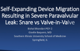 Self-Expanding Device Migration Resulting in Severe Paravalvular Leak: Snare vs Valve-in-Valve