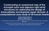 Constructing an Anatomical Map of the Tricuspid Valve and Adjacent Right Atrial Structures for Optimizing the Design of Transcatheter Annuloplasty Repair Devices: A Computational Case Study of 50 Human Hearts