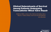 Clinical Determinants of Survival Among Patients Undergoing Transcatheter Mitral Valve Repair