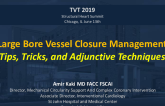 Large-Bore Vessel Closure Management: Tips, Tricks, and Adjunctive Techniques