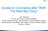 Access to Coronaries After TAVR: The Next Big Thing?