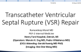Transcatheter Ventricular Septal Rupture Repair