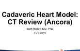 CT review