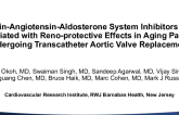 Renin-Angiotensin-Aldosterone System Inhibitors Are Associated With Reno-Protective Effects in Aging Patients Undergoing Transcatheter Aortic Valve Replacement