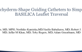 Pachyderm-Shape Guiding Catheters to Simplify BASILICA Leaflet Traversal