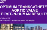 OPTIMUM TAV  First-In-Human Results