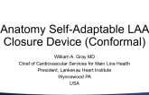 Anatomy Self-Adaptable LAA Closure Device (Conformal)