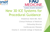 New 3-D ICE Systems for Procedural Guidance