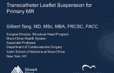 Transcatheter Leaflet Suspension for Primary MR