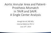 Smaller Aortic Annular Area Is Associated With Patient Prosthesis Mismatch in TAVR, but Not Surgical AVR