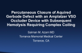 Percutaneous Closure of Acquired Gerbode Defect With an Amplatzer VSD Closure Device With Subsequent Hemolysis Requiring Complex Coiling of the Device