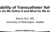 Durability of Transcatheter Valves: How Do We Define It, and What Do We Know?