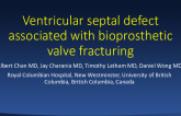 Ventricular Septal Defect Associated With Bioprosthetic Valve Fracturing