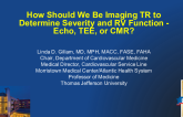How Should We Be Imaging TR to Determine Severity and RV Function — Echo, TEE, or CMR?