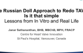 The Russian Doll Approach to Redo TAVR: Is It That Simple? Lessons From In-Vitro and Real Life