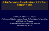 LAA Occlusion Complications I: If It Can Happen, It Will (With Case Examples)