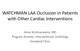 LAA Occlusion Plus: MitraClip, TAVR, PCI, and More