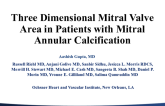 Three Dimensional Mitral Valve Area in Patients With Mitral Annular Calcification