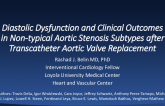 Diastolic Dysfunction and Clinical Outcomes in Non-Typical Aortic Stenosis Subtypes After Transcatheter Aortic Valve Replacement