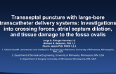 Transseptal Puncture With Large-Bore Transcatheter Delivery Systems: Investigations into Crossing Forces, Atrial Septum Dilation, and Tissue Damage to the Fossa Ovalis