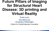 Future Pillars of Imaging for Structural Heart Disease: 3D Printing and Virtual Reality