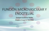 Función microvascular y endotelial