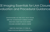 TEE Imaging Essentials for LAA Closure Evaluation and Procedural Guidance