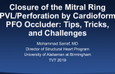 Closure of the Mitral Ring PVL and Mitral Valve Perforation by Cardioform PFO Occluder: Tips, Tricks, and Challenges
