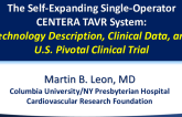 Technology Description, Clinical Data and Plans for the US Pivotal Trial