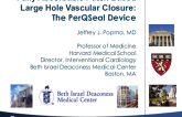 Large-Hole Transfemoral Closure III: The PerQseal Device