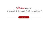 CroiValve... A Valve? A Spacer? Both, or Neither?
