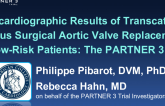 Echocardiographic Results of Transcatheter Versus Surgical Aortic Valve Replacement in Low-Risk Patients: The PARTNER 3 Trial