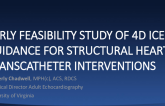 Early Feasibility Study of 3D ICE Guidance for SHD Interventions