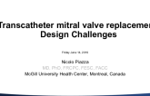 Interventional Perspectives on TMVR: What Are the Design Issues?