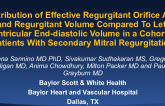 Distribution of Effective Regurgitant Orifice Area and Regurgitant Volume Compared to Left Ventricular End-Diastolic Volume in a Cohort of Patients With Secondary Mitral Regurgitation