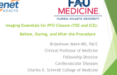 Imaging Essentials for PFO Closure (TEE and ICE): Before, During, and After the Procedure