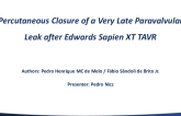 Percutaneous Closure of a Very Late Paravalvular Leak After Edwards SAPIEN XT TAVR