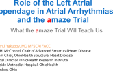 Role of the Left Atrial Appendage in Atrial Arrhythmias and the AMAZE Trial