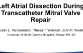 Left Atrial Dissection During Transcatheter Mitral Valve Repair